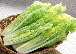 京東進軍蔬菜領域 重塑品質標準，超越有機蔬菜的革新之路