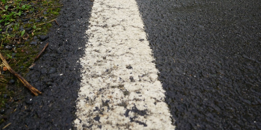 樹木與道路風景 免費下載JPG高清壁紙