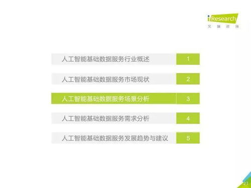 《人工智能基礎(chǔ)數(shù)據(jù)服務(wù)與軟件開發(fā) 驅(qū)動AI產(chǎn)業(yè)的雙引擎——中國人工智能基礎(chǔ)數(shù)據(jù)服務(wù)行業(yè)報告》